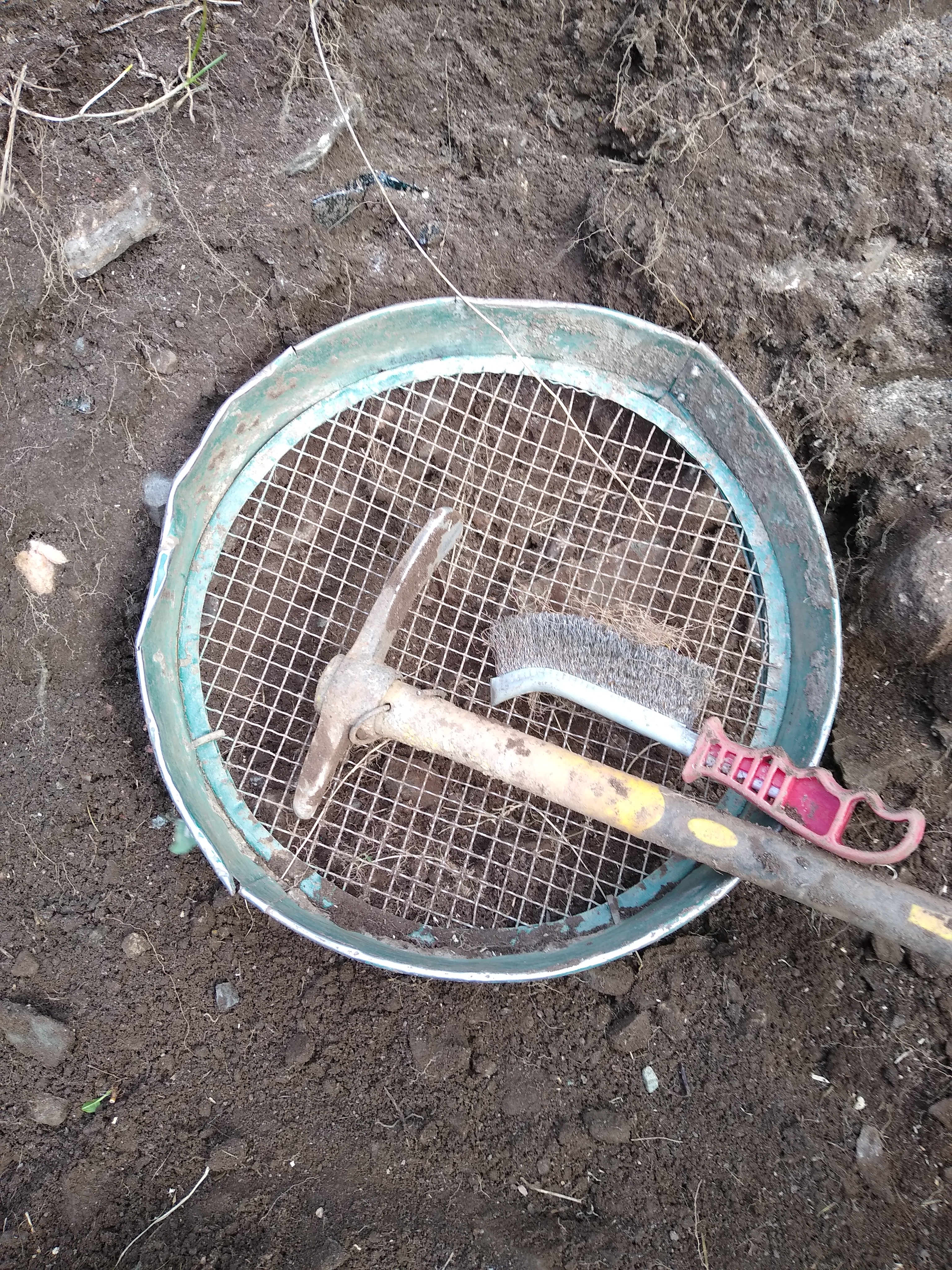 IMG_20220308_134843768